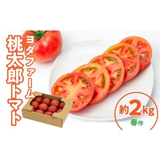 ふるさと納税 野菜類 トマト 山梨県 昭和町 桃太郎トマト 2kg(春作) SWBQ001-a 春作