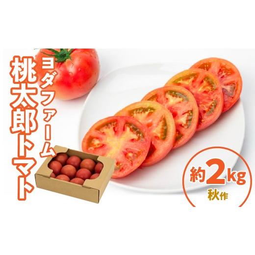ふるさと納税 野菜類 トマト 山梨県 昭和町 桃太郎トマト 2kg(秋作) SWBQ001-b 秋作