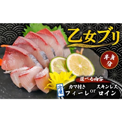 ふるさと納税 旬の鮮魚等 高知県 須崎市 乙女 ブリ 半身 スキンレスロイン 600g以上 冷凍 約 3〜 5 人前 神経締め 産地直送 新鮮 真空パック ブランド 鰤 …