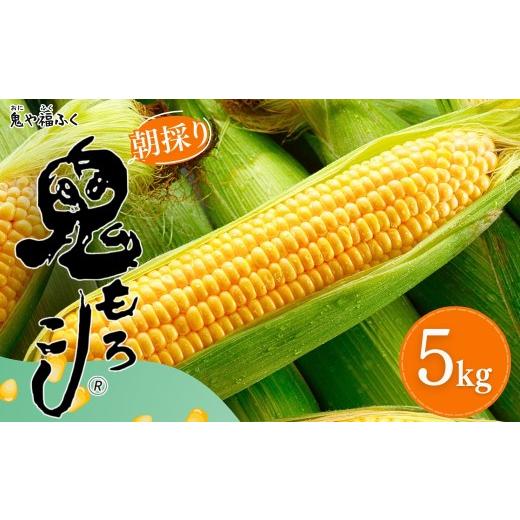 ふるさと納税 とうもろこし 新潟県 津南町 鬼もろこし 5kg 11-13本入り | 朝 朝採れ とうもろこし スイートコーン トウモロコシ スィートコーン すいーとこー…