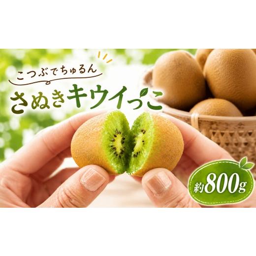 ふるさと納税 果物類 香川県 丸亀市 キウイ さぬきキウイっこ 約800g 11月から順次発送 国産 キウイ 小玉キウイ 完熟 旬 新鮮 厳選 フルーツ 人気 家庭用 高品…