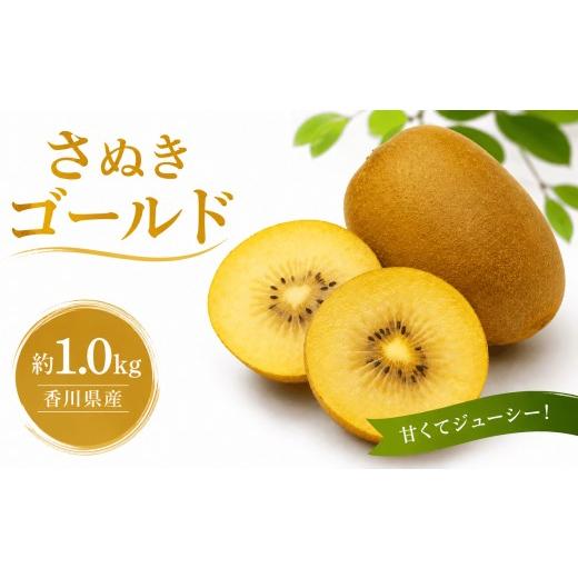 ふるさと納税 果物類 香川県 丸亀市 香川県産 ゴールドキウイ さぬきゴールド 約1.0kg 10月から順次発送 国産 キウイ 国産キウイ 旬 新鮮 厳選 フルーツ 人気 …