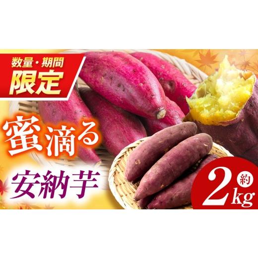 ふるさと納税 野菜類 サツマイモ 奈良県 御杖村 先行予約 数量・期間限定 蜜滴る 安納芋 2キロ(栽培期間中は農薬・化学肥料不使用)| 安納芋 さつまいも 化…