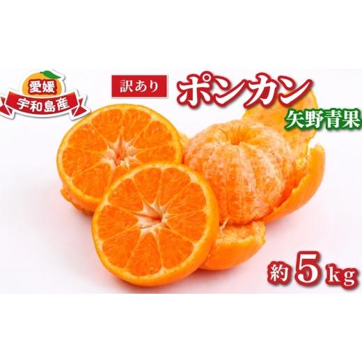 ふるさと納税 果物類 みかん 愛媛県 宇和島市 訳あり ポンカン 約 5kg 矢野青果 わけあり 訳あり品 訳有り 訳アリ ぽんかん 愛媛みかん 愛媛ミカン みかん ミ…