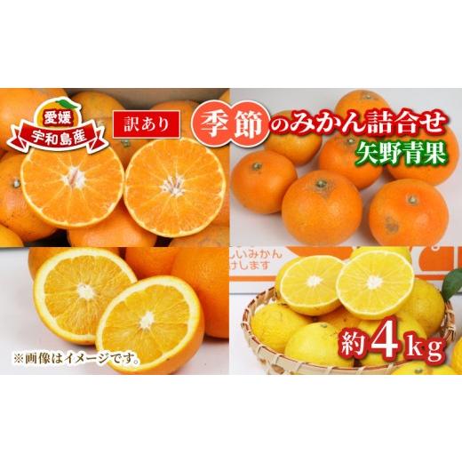 ふるさと納税 果物類 みかん 愛媛県 宇和島市 訳あり 季節 の みかん 詰合せ 約 4kg 矢野青果 フルーツ 詰め合わせ セット 柑橘 ミカン 蜜柑 mikan 果物 くだ…