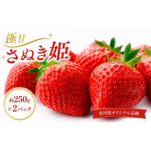 ふるさと納税 いちご 香川県 丸亀市 いちご 極甘 さぬき姫 約250g×2パック 2月から順次発送 苺 イチゴ 国産いちご 甘い 完熟 新鮮 朝採れ 旬 厳選 フルーツ …