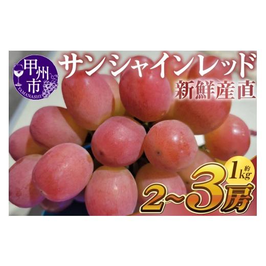 ふるさと納税 ぶどう 山梨県 甲州市 新鮮産直甲州市 サンシャインレッド 約1kg 2〜3房 2027年発送 (KSF)C-462 2027年発送