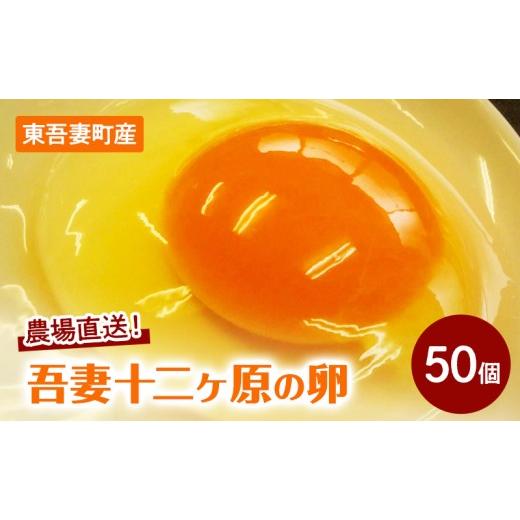 ふるさと納税 卵(鶏、烏骨鶏等) 群馬県 東吾妻町 農場直送 吾妻十二ヶ原の卵(50個) 鶏卵 たまご タマゴ 卵 安心 こだわり 食卓 堀田養鶏場 群馬県 東吾妻…