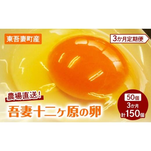 ふるさと納税 卵(鶏、烏骨鶏等) 群馬県 東吾妻町 3か月連続お届け 農場直送 吾妻十二ヶ原の卵(50個) 鶏卵 たまご タマゴ 卵 安心 こだわり 食卓 堀田養鶏…