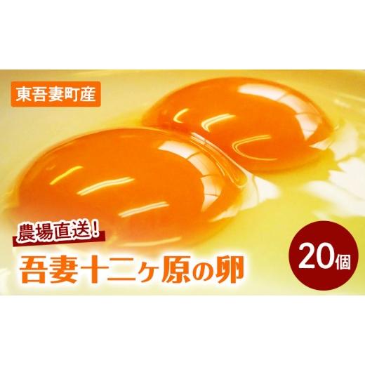 ふるさと納税 卵(鶏、烏骨鶏等) 群馬県 東吾妻町 農場直送 吾妻十二ヶ原の卵(20個) 二黄卵 鶏卵 たまご タマゴ 卵 安心 こだわり 食卓 卵かけごはん 堀田…