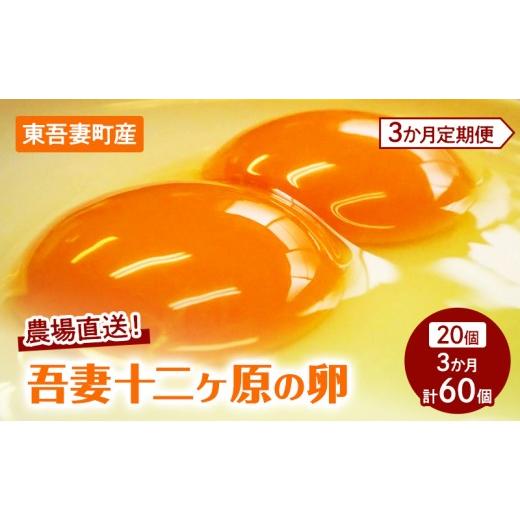 ふるさと納税 卵(鶏、烏骨鶏等) 群馬県 東吾妻町 3か月連続お届け 農場直送 吾妻十二ヶ原の卵(20個) 二黄卵 鶏卵 たまご タマゴ 卵 安心 こだわり 食卓 …