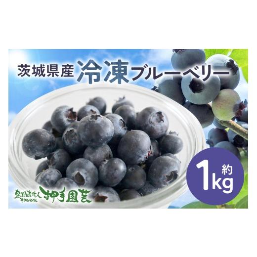 ふるさと納税 果物類 茨城県 小美玉市 冷凍ブルーベリー 約1kg ブルーベリー 冷凍 フルーツ 果物 くだもの 冷凍フルーツ 冷凍果物 完熟 新鮮 人気 ギフト 贈り…