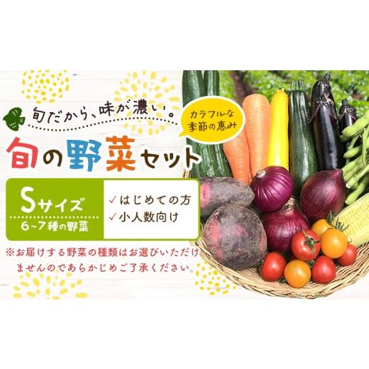 ふるさと納税 セット・詰合せ 千葉県 我孫子市 野菜 旬の野菜セット Sサイズ 約6〜7種 [30日以内に出荷予定(土日祝除く)] ベジLIFE 配送不可地域あり (沖縄…
