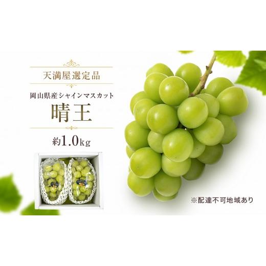 ふるさと納税 ぶどう マスカット 岡山県 玉野市 天満屋選定品 岡山県産 シャインマスカット 晴王 約1.0kg(2026年発送)