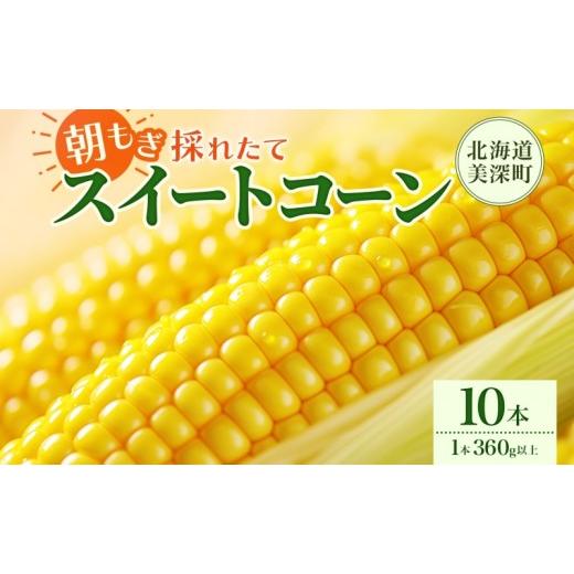 ふるさと納税 とうもろこし 北海道 美深町 とうもろこし 10本 スイートコーン トウモロコシ コーン 甘い 採れたて 朝採り 野菜 旬の野菜 農作物 お取り寄せ 北…