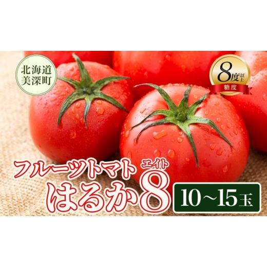 ふるさと納税 野菜類 トマト 北海道 美深町 2026年発送 糖度8度以上 フルーツトマト はるか8(エイト) 10〜15玉 トマト 野菜 夏 野菜 旬 甘い 濃厚 果物 フ…