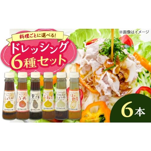 ふるさと納税 調味料・油 ドレッシング 島根県 雲南市 ドレッシング6本セット(全種類)| ドレッシング 調味料 サラダ 梅 ノンオイル 健康 セット 島根県雲南…
