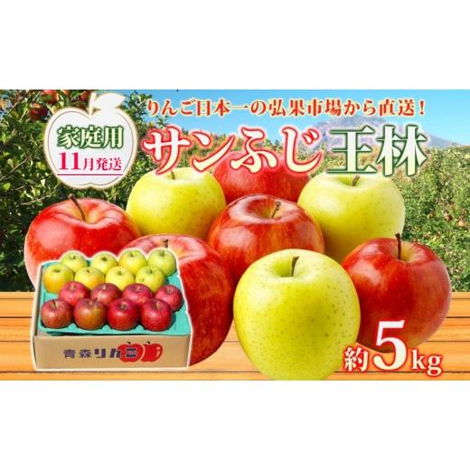 ふるさと納税 りんご 青森県 西目屋村 11月発送 家庭用 サンふじ 王林 約5kg りんご 林檎 リンゴ 果物 フルーツ くだもの 旬 青森県産 お取り寄せ 詰め合わせ…