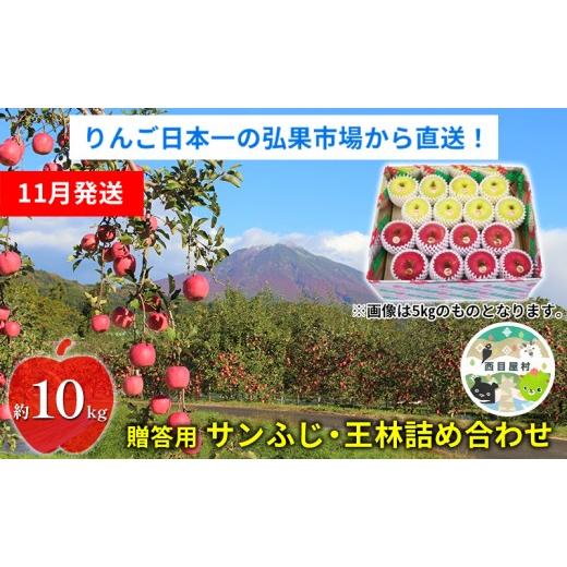 ふるさと納税 りんご 青森県 西目屋村 11月発送 贈答用 サンふじ・王林詰め合わせ 約10kg 青森りんご 果物 果実 フルーツ 新鮮 美味しい 自然環境 赤い 黄色…