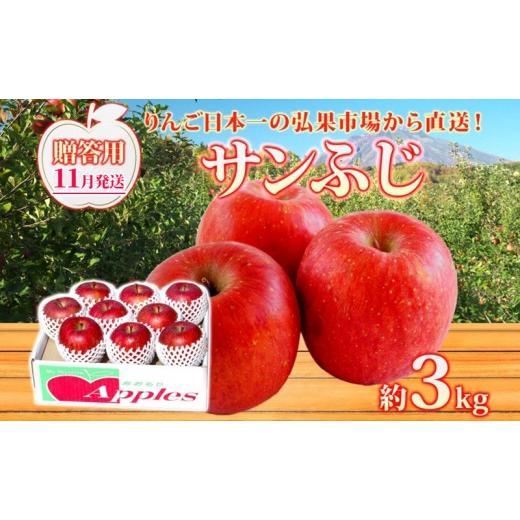 ふるさと納税 りんご 青森県 西目屋村 11月発送 贈答用 サンふじ 約3kg りんご 林檎 リンゴ 果物 フルーツ くだもの 旬 青森県産 お取り寄せ 贈り物 プレゼン…
