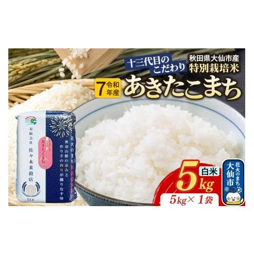 ふるさと納税 米 あきたこまち 秋田県 大仙市 米 あきたこまち 白米 5kg(5kg×1袋)十三代目のこだわり 特別栽培米 令和7年産 お米 こめ 白米 精米 特別栽培…