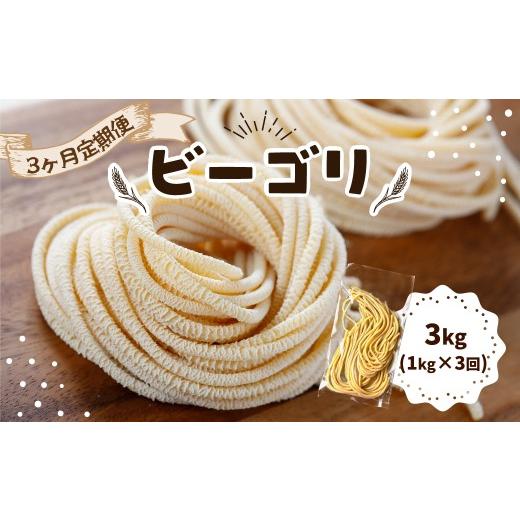 ふるさと納税 パスタ 生・半生めん 群馬県 前橋市 パスタ ビーゴリ 3ヶ月定期便|生パスタ パスタ 簡単 本格 ロングパスタ ビーゴリ 定期便 3ヶ月 連続 小麦 …