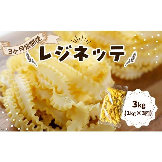 ふるさと納税 パスタ 生・半生めん 群馬県 前橋市 パスタ レジネッテ 3ヶ月定期便|生パスタ パスタ 簡単 本格 ロングパスタ レジネッテ 定期便 3ヶ月 小麦 美…