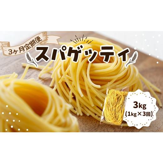 ふるさと納税 パスタ 生・半生めん 群馬県 前橋市 パスタ スパゲッティ 3ヶ月定期便|生パスタ パスタ 簡単 本格 ロングパスタ スパゲッティ 定期便 3ヶ月 連…