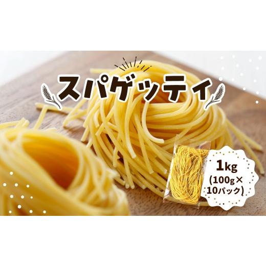 ふるさと納税 パスタ 生・半生めん 群馬県 前橋市 パスタ スパゲッティ 1kg|生パスタ パスタ 簡単 本格 ロングパスタ スパゲッティ 小麦 美味しい おいしい …