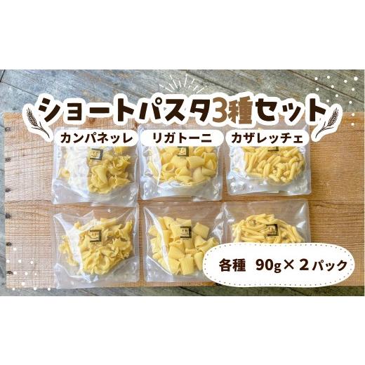 ふるさと納税 パスタ 生・半生めん 群馬県 前橋市 パスタ ショートパスタ3種セット カザレッチェ カンパネッレ リガトーニ|生パスタ パスタ コナリエ 簡単 本…