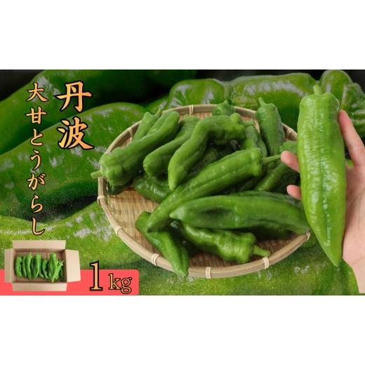 ふるさと納税 野菜類 京都府 南丹市 丹波大甘とうがらし 1kg トウガラシ 唐辛子 野菜 京都府産 南丹市