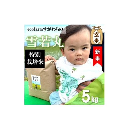 ふるさと納税 玄米 山形県 三川町 令和8年産・玄米 ecofarmすがわらの特別栽培米雪若丸5kg 10月上旬頃から順次配送 令和8年産・玄米