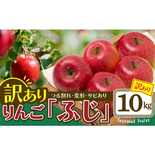 ふるさと納税 りんご 秋田県 大館市 先行予約 期間・数量限定 陽気な母さんの店 R8年産「訳ありふじ」(10kg)95P3403 / 東北 秋田 大館 リンゴ 林檎 果物 …