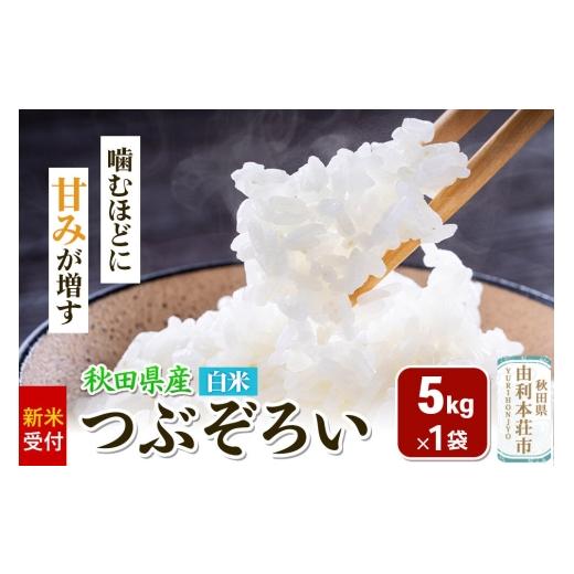 ふるさと納税 米 秋田県 由利本荘市 [新米受付]令和8年産 白米 つぶぞろい 5kg 秋田県由利本荘市産 新米予約 米 お米 白米 精米 つぶぞろい 粒ぞろい 大粒 …