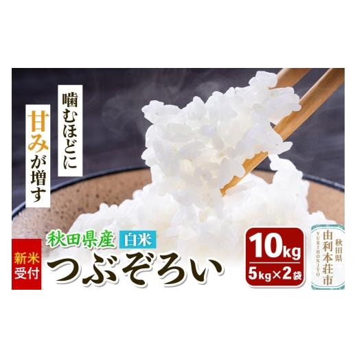 ふるさと納税 米 秋田県 由利本荘市 [新米受付]令和8年産 白米 つぶぞろい 10kg(5kg×2袋)秋田県由利本荘市産 新米予約 米 お米 白米 精米 つぶぞろい 粒…