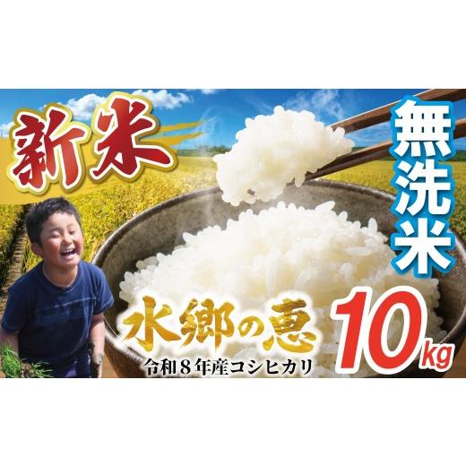 ふるさと納税 無洗米 千葉県 香取市 無洗米 新米 コシヒカリ 10kg 精米 米 令和8年産 先行予約| 水郷の恵 数量限定 千葉県産 米 お米 コメ 白米 ライス こし…