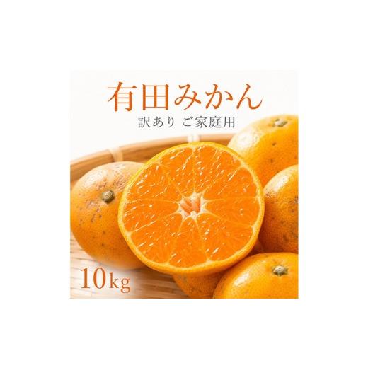 ふるさと納税 果物類 みかん 和歌山県 日高川町 訳ありご家庭用 和歌山有田みかん10kg 2S〜2L サイズ混合 魚鶴商店[11月下旬-12月下旬頃出荷] 和歌山県 日…