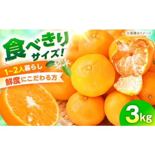 ふるさと納税 果物類 みかん 長崎県 大村市 みかん 食べきり量3kg 温州みかん/ みかん ミカン 蜜柑 甘い フルーツ 果物 みかん ミカン 蜜柑 フルーツ 果物 み…