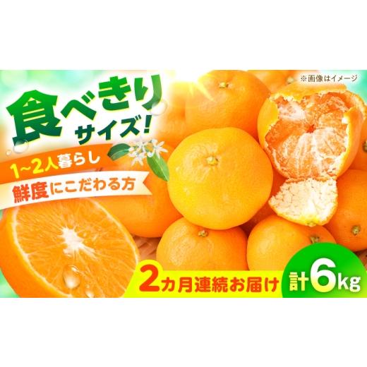 ふるさと納税 果物類 みかん 長崎県 大村市 みかん 2回定期便 温州みかん 3kg×2回/ みかん ミカン 蜜柑 甘い フルーツ 果物 みかん ミカン 蜜柑 フルーツ 果…