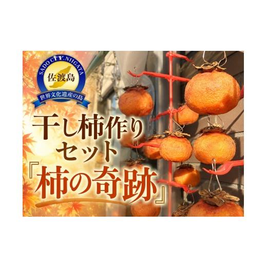 ふるさと納税 果物類 柿 新潟県 佐渡市 先行予約 佐渡産 おけさ柿 干し柿作りセット おけさ柿 干し柿作り 柿の奇跡| 新潟県産柿 佐渡産柿 佐渡島産かき 柿 か…