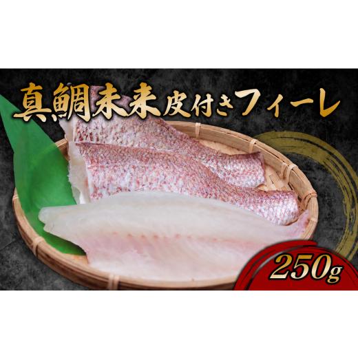 ふるさと納税 魚貝類 鯛 高知県 宿毛市 真鯛未来 皮付き フィーレ 半身分 約250g 真鯛未来 皮付きフィーレ 半身分 約250g (7,000円)