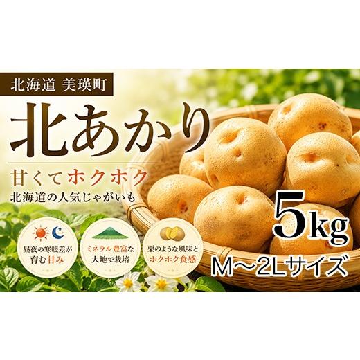 ふるさと納税 野菜類 じゃがいも 北海道 美瑛町 先行予約 じゃがいも きたあかり 5kg <令和8年産> おおとり | 北海道 じゃがいも キタアカリ 北あかり …