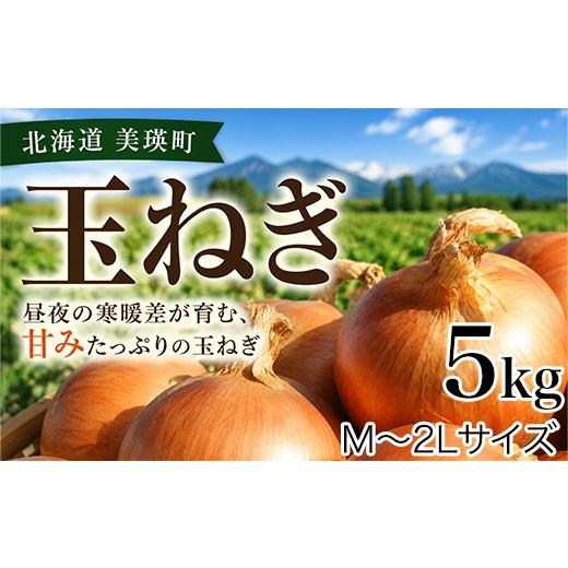 ふるさと納税 野菜類 玉ねぎ 北海道 美瑛町 先行予約 北海道 玉ねぎ 5kg <令和8年産 > おおとり 2026年10月上旬より順次発送 | 人気 おすすめ ランキン…