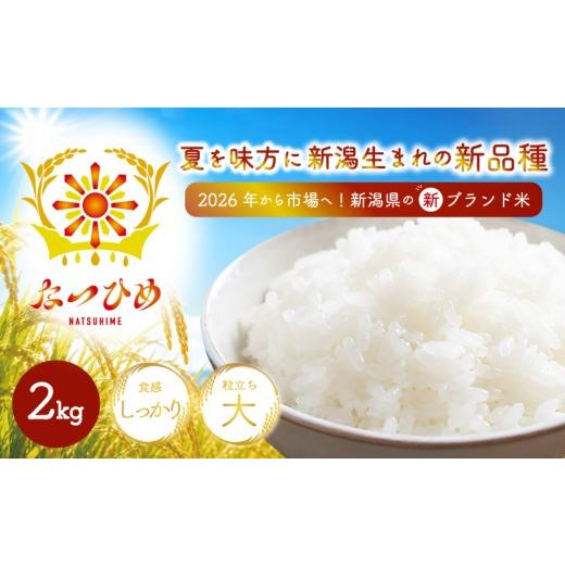 ふるさと納税 米 新潟県 新発田市 先行予約 新米 2kg(2kg × 1袋) なつひめ 新品種 令和8年産 米 白米 こめ 大粒 ごはん おにぎり お弁当 農家直送 産地直…