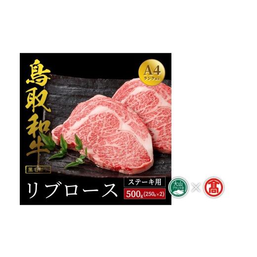 ふるさと納税 牛肉 ロース 鳥取県 南部町 DS3 だんだんキッチン 鳥取和牛 リブロースステーキ用(250g×2枚)(大山ブランド会)