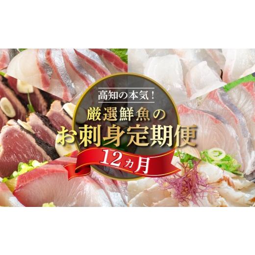 ふるさと納税 魚貝類 鯛 高知県 須崎市 冷凍便 厳選 12カ月 お楽しみ 定期便 刺身 定期便 小島水産 がお届けする 美味しい お刺身 1年 一年 全12回 12か月 12…