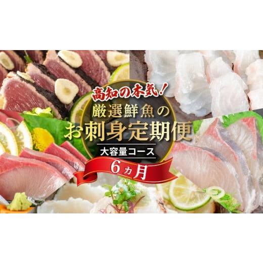 ふるさと納税 魚貝類 鮭 高知県 須崎市 冷凍 刺身 定期便 6ヶ月 小島水産 がお届けする 美味しい お刺身 大容量 コース ( 鮮魚 下処理済 ) 産地直送 半年 新…