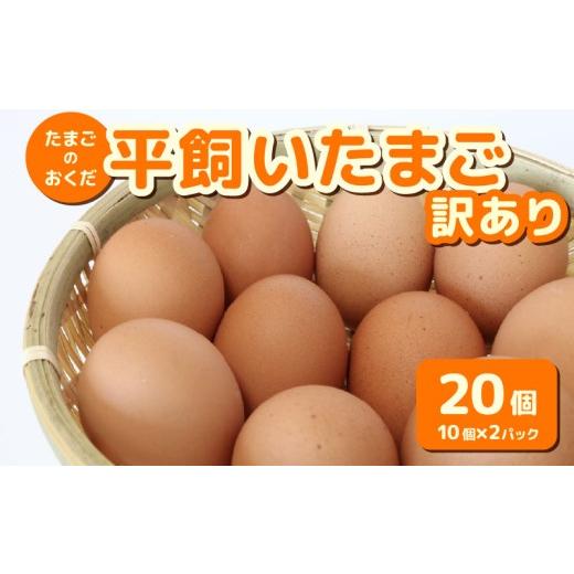 ふるさと納税 卵(鶏、烏骨鶏等) 高知県 南国市 訳あり 平飼い卵 20個入り (10個×2パック) | たまご 卵 タマゴ 鶏卵 たまごかけごはん 目玉焼き オムレツ …