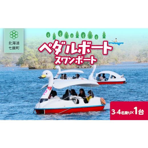 ふるさと納税 体験チケット 北海道 七飯町 ペダルボート3〜4名乗り(スワンボート) ふるさと納税 人気 おすすめ ランキング ペダルボート ボート ぼーと 体験 …
