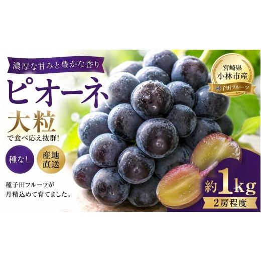 ふるさと納税 ぶどう 宮崎県 小林市 大粒・種なし ピオーネ(ニューピオーネ)1kg ぶどう 葡萄 フルーツ